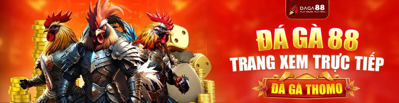 Trải nghiệm đá gà trực tuyến đỉnh cao trên loto188 apk